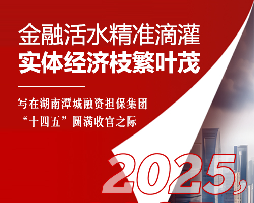 金融活水精準(zhǔn)滴灌 實(shí)體經(jīng)濟(jì)枝繁葉茂 ——寫(xiě)在湖南潭城融資擔(dān)保集團(tuán)“十四五”圓滿(mǎn)收官之際